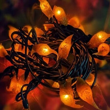 Fall Lighting