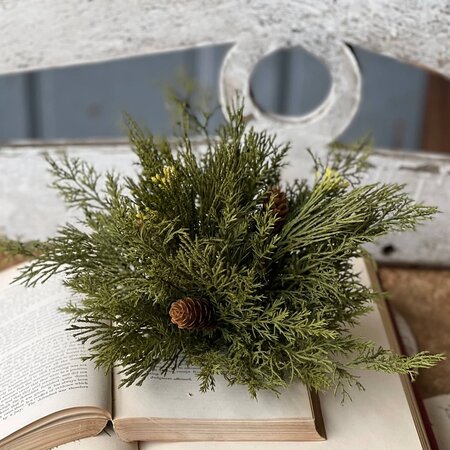 Alpine Cedar Half Sphere